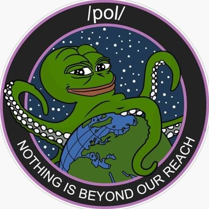 MericanWaffen's profile picture. White Activist / National Socialist