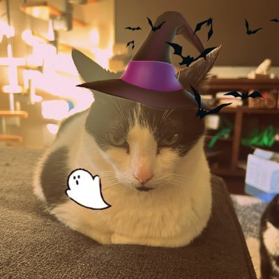 MrSnoopLoops's profile picture. 7 yearce of olde | Pinkest nose man | Have 2 siblinks | Dade is 19 yearce