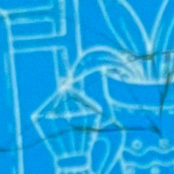 s8126464's profile picture. 