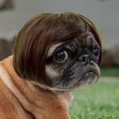 LOCO_AG's profile picture. 