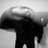 FolliBlanc's profile image