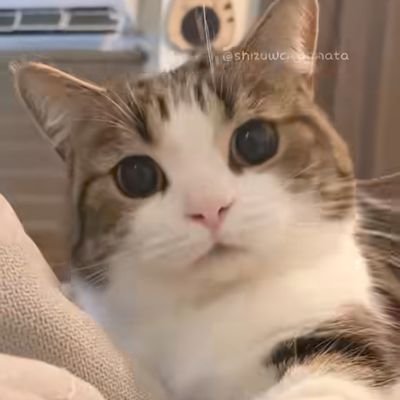 Gameplays8Pro's profile picture. 