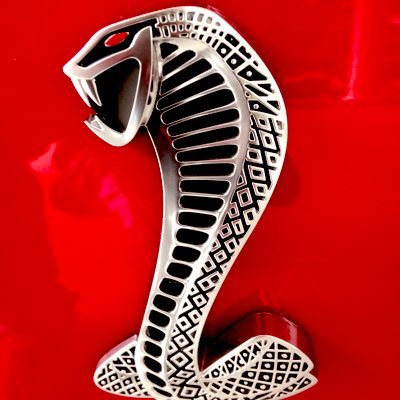 MisterG52306251's profile picture. name is greg, a senior trying to enjoy life in this crazy world. Christian, but sometimes my mouth….unChristian like  behavior. 🚫DM unless we already have