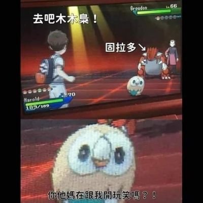 iE8ZVSYEkLGpUkT's profile picture. 