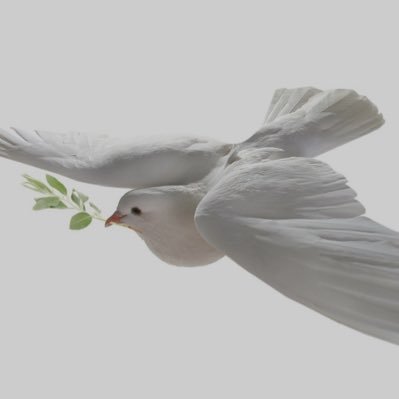 Mahatma1606311's profile picture. 