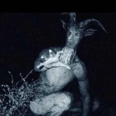 Renisszvlr's profile picture. 15 @trgaim