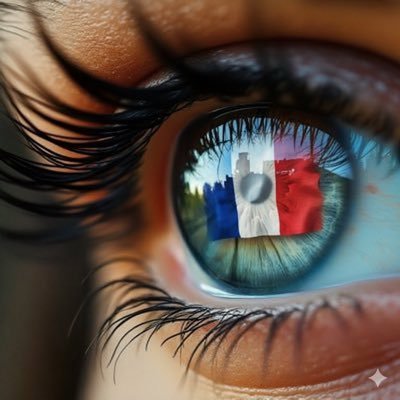 Cholls_Revol's profile picture. ✨ 𝓙𝓮 𝓯𝓪𝓲𝓼 𝓶𝓪 𝓹𝓪𝓻𝓽 / 𝓔𝓼𝓹𝓻𝓲𝓽 𝓛𝓲𝓫𝓻𝓮 ✨ / 𝓡𝓮𝓳𝓮𝓽 𝓷𝓸𝓾𝓿𝓮𝓵 𝓸𝓻𝓭𝓻𝓮 ⚡️/ 📺 𝓑𝓸𝔂𝓬𝓸𝓽𝓽 𝓶𝓮́𝓭𝓲𝓪𝓼 / 🕊️ 𝓟𝓪𝓲𝔁