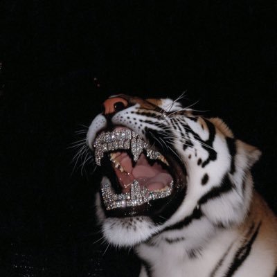 spikes_10's profile picture. ICT Concept. MbChb