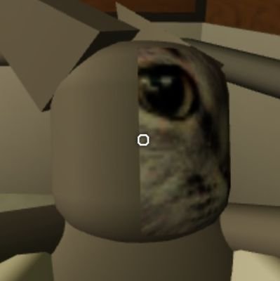 gimgyeo39137081's profile picture. 