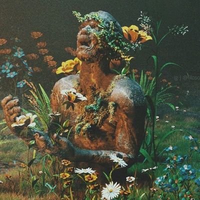 pipocandoo_'s profile picture. 