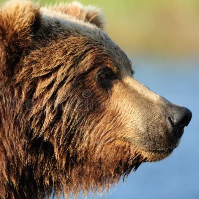 DavidRe83382151's profile picture. 