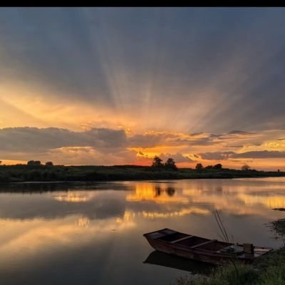 gao_ai30108's profile picture. 