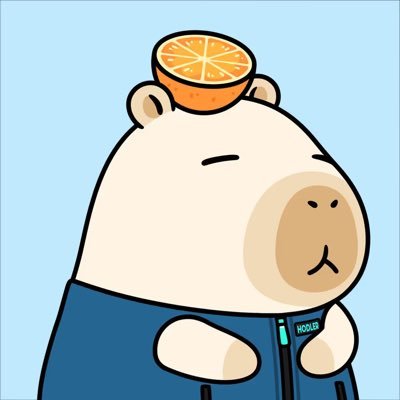 HODLERbera's profile picture. Supporting cool projects, people and things.