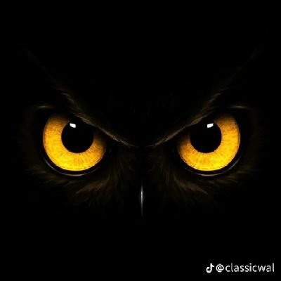 Vincecryp's profile picture. 𝕎é𝕓𝟛 𝕘𝕦𝕣𝕦, 𝕤𝕚𝕥𝕖 𝕕𝕖𝕧𝕖𝕝𝕠𝕡𝕖𝕣 𝕒𝕟𝕕 𝕒 𝕔𝕣𝕪𝕡𝕥𝕠 𝕥𝕣𝕒𝕕𝕖𝕣