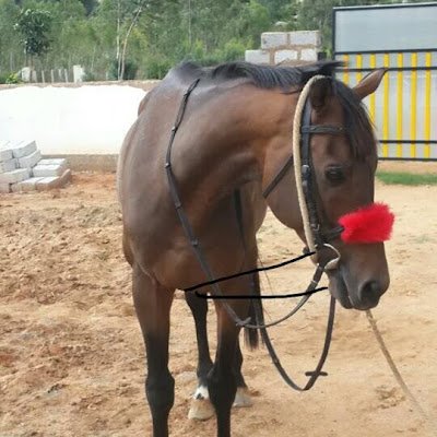 Zeeshanhaseeb88's profile picture. 