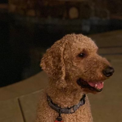 Cherie1486092's profile picture. 