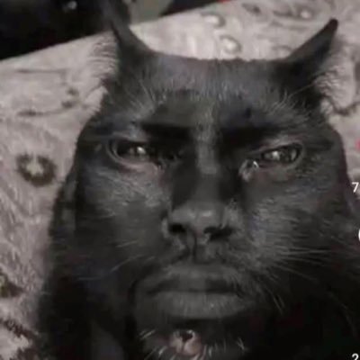 rinffd's profile picture. Off to the gulag.