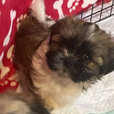 jabp1691's profile picture. 