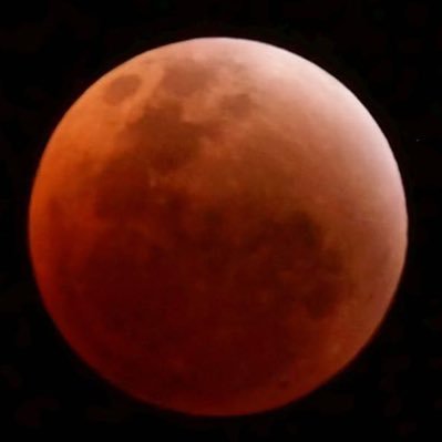 Les_yeux_d_Elsa's profile picture. 