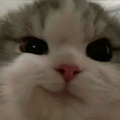 swm1v9's profile picture. le chant du corbeau