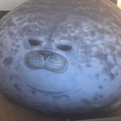 nQJbpZtpqm26211's profile picture. 高一/広島/九医医/勉強垢/勉強垢フォロバ100/今年度中に英検準一級とる