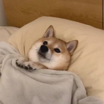 Risoo0817's profile picture. 