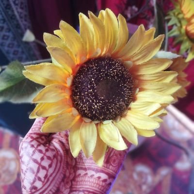 Prajakta_P15's profile picture. 