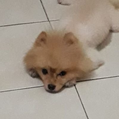 ktydarlingP's profile picture. finché c'è vita c'è speranza

for giveaways and vent

🪬🪬