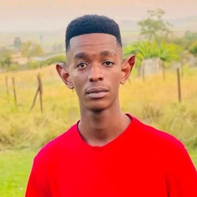 KamoS80386's profile picture. undiscovered