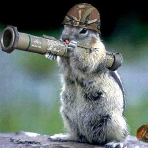 solwithmav's profile picture. I’ll WIN SOON…..