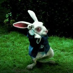 EwaldSchnidrig's profile picture. Thematik, Mensch, Person, Weltgeschehen