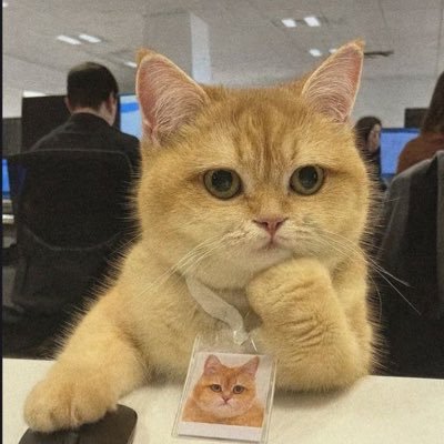 chanyappppppp's profile picture. You are the reason why I am alive #ZeeNuNew