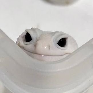 ssaannngg's profile picture. 믿지않는것들은무시해커다란파동을일으키는그힘을너도가지고있어내게보여줄래파란을일으켜눈부신널보여줘이바다를집어삼키자파도의색은파랑이아냐물들이자서로의색으로빛나는바다를만나러가보자쉿조용한이곳에누군가있어하늘의해도탐내고있어눈치챘다면얼른헤엄쳐해를삼킬거대한물결을만들자탐나는빛을가진너마저너를의심하게될테지만믿어가능성