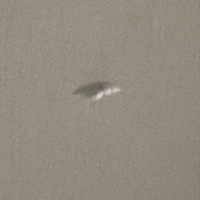 sblosh307's profile picture. 