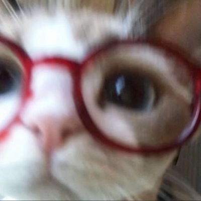 cheysinhere's profile picture. akan ku kerjakan semuanya tapi sambil lihat dohoon  — pejuang keras PTLN #kaburajadulu #nihaofineshyt