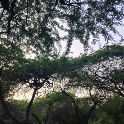 ragi43181's profile picture. Life is a journey, Make it a Beautiful One✋🏻🌿