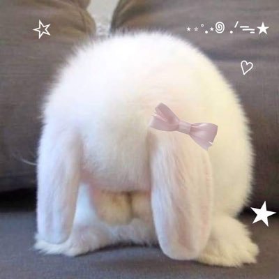 Tharatip_mei's profile picture. เลือดวายหวีดทุกด้อมม🌈🥰