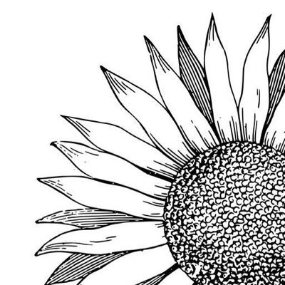 HaifaAwaooh's profile picture. اللهم ارحم والديّ واخوي عبدالعزيز