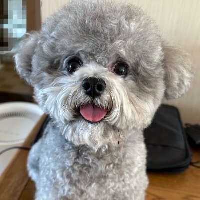 Girlonthecentr1's profile picture. A traveler who loves life✨| I like coffee☕ and music🎶, I am a patriot and I support Trump.