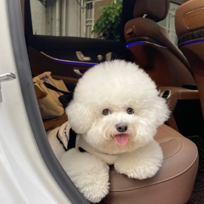 lathy64571407's profile picture. 🇫🇷Travel enthusiast📸Passionate about photography🏊Fitness and swimming⛳Golf enthusiast💡Striving for perfection, but enjoying the process