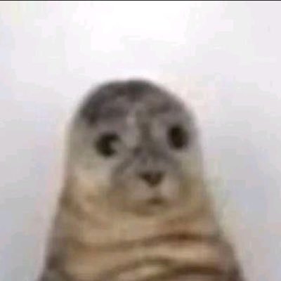 Curiouslyz's profile picture. ༎ຶ‿༎ຶ