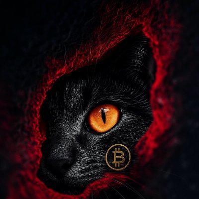 CryptoJ29's profile picture. 周期论坚定信仰者： 顺应周期做对的事情

业余投机客 ： 早期链上新项目新热点Alpha追踪