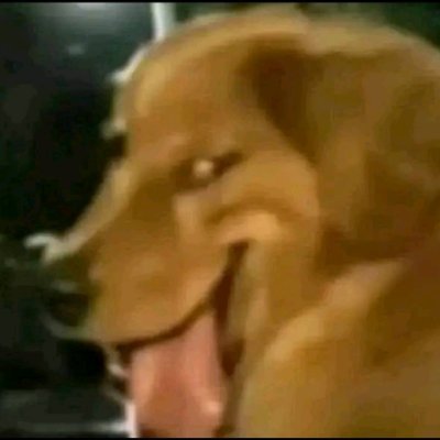 ReynaRegin89315's profile picture. 18