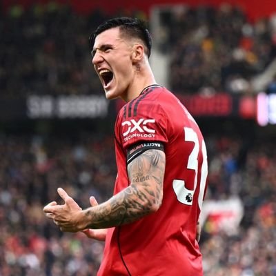 UnitedRedOrDead's profile picture. 