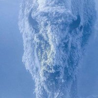 Arthur O'Grady (@arthurogrady1) 's Twitter Profile Photo