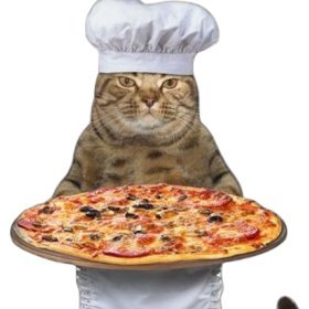 tokki369's profile picture. 