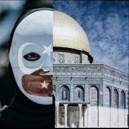 hakan280572's profile picture. 