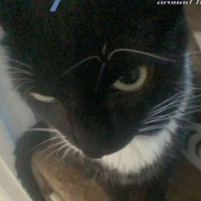 FLEETWAY_NOVART's profile picture. CDMX muy jov