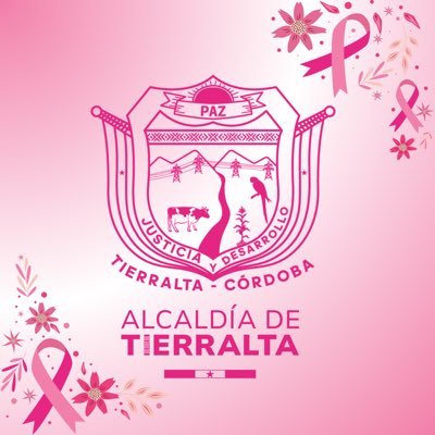 Alcaldía Municipal De Tierralta Profile