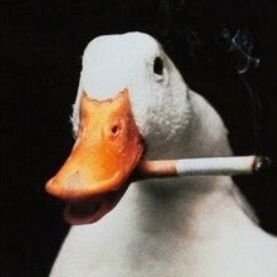 TURBOSNA1L's profile picture. 